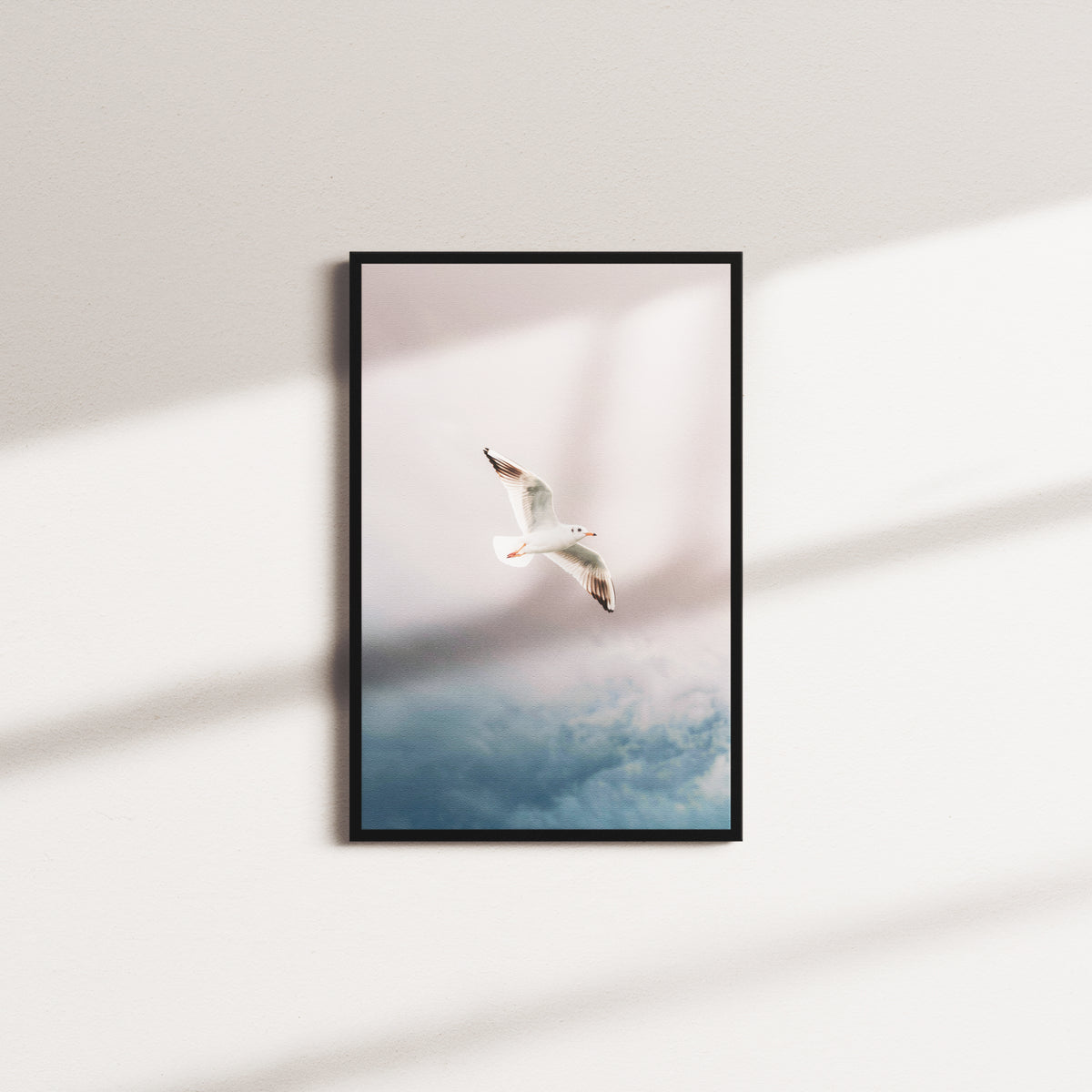 clouded soar — black frame