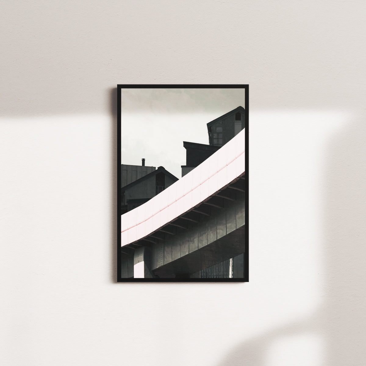 Coral Reverie — Black Frame