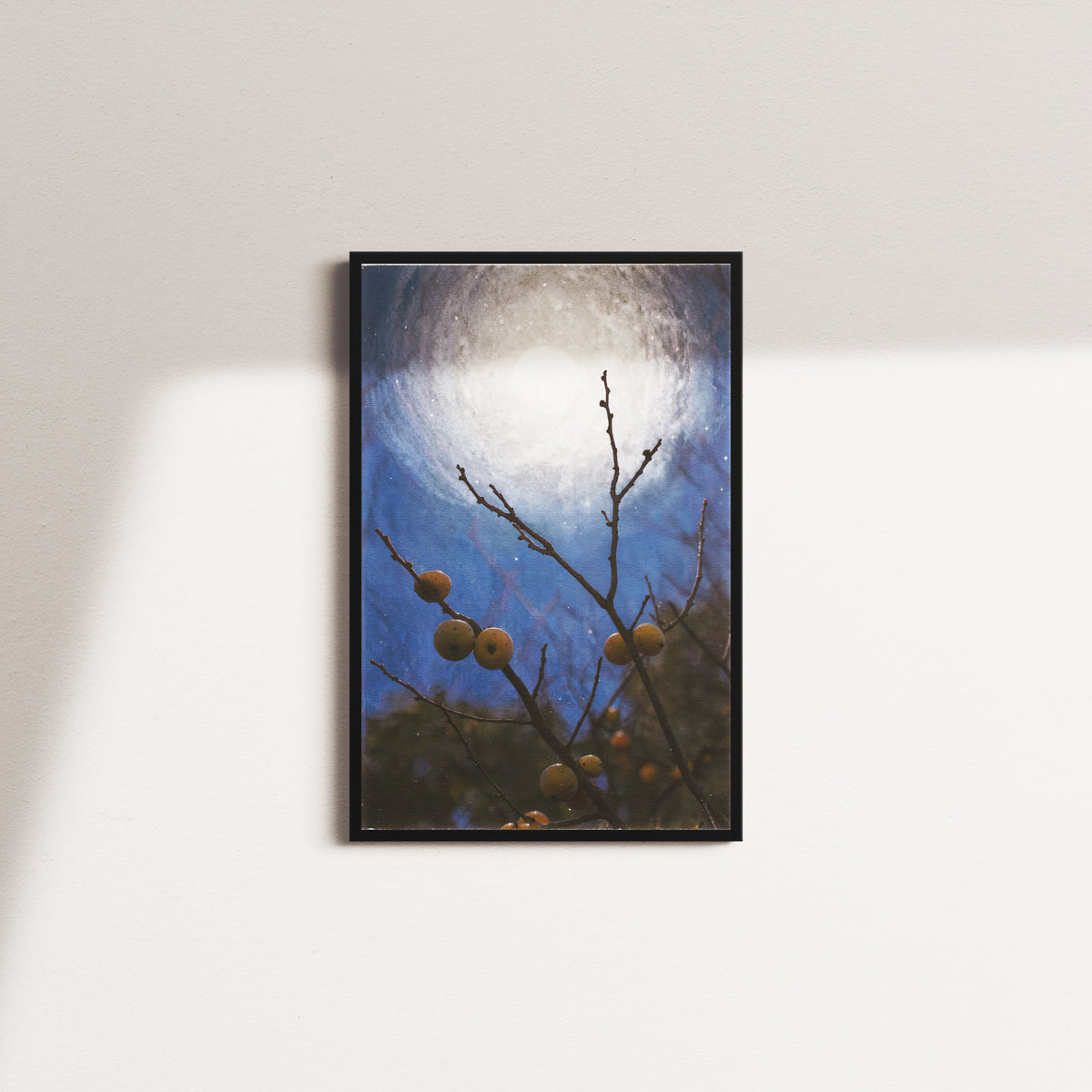honey bough — black frame