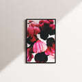 blush vigil — black frame