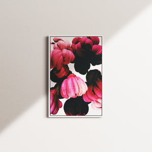 blush vigil — white frame