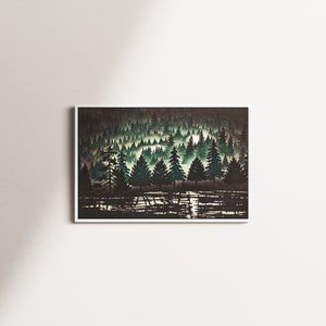 cedar pine — white frame