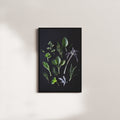 cedar vigil — black frame