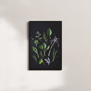 cedar vigil — black frame