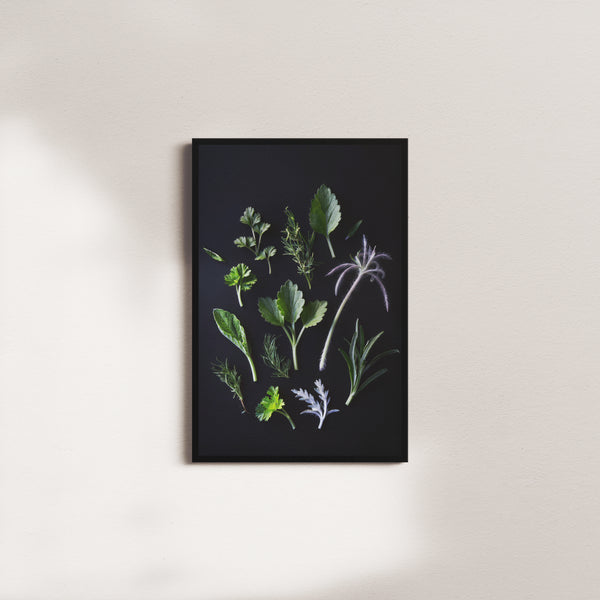 cedar vigil — black frame