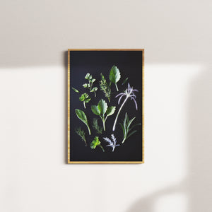 cedar vigil — oak frame