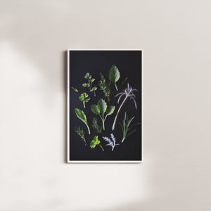 cedar vigil — white frame