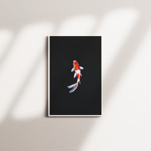 cinder beacon 2 — white frame