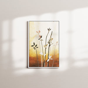 citrine shift — white frame