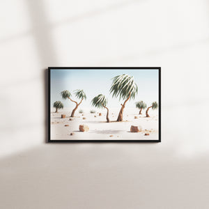 cloud pine — black frame