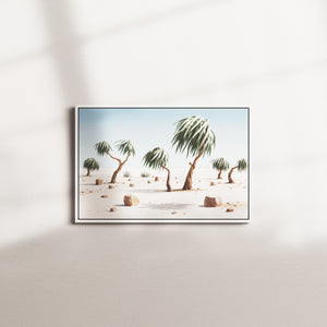 cloud pine — white frame