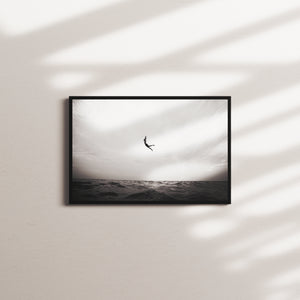clouded plunge — black frame