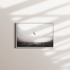 clouded plunge — white frame