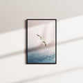 clouded soar — black frame