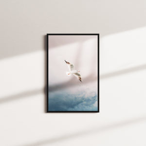 clouded soar — black frame