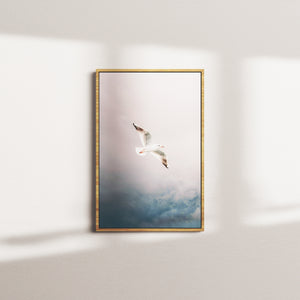 clouded soar — oak frame