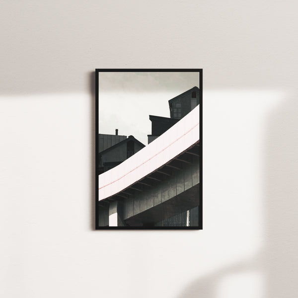 Coral Reverie — Black Frame
