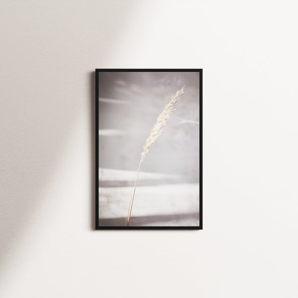 dry horizon — black frame