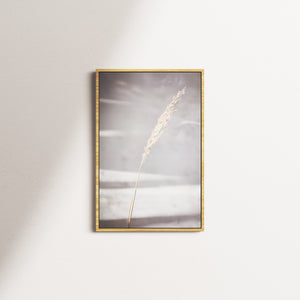 dry horizon — oak frame