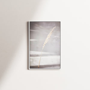 dry horizon — white frame