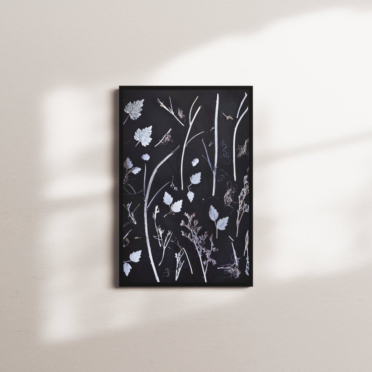 dry silhouettes — black frame