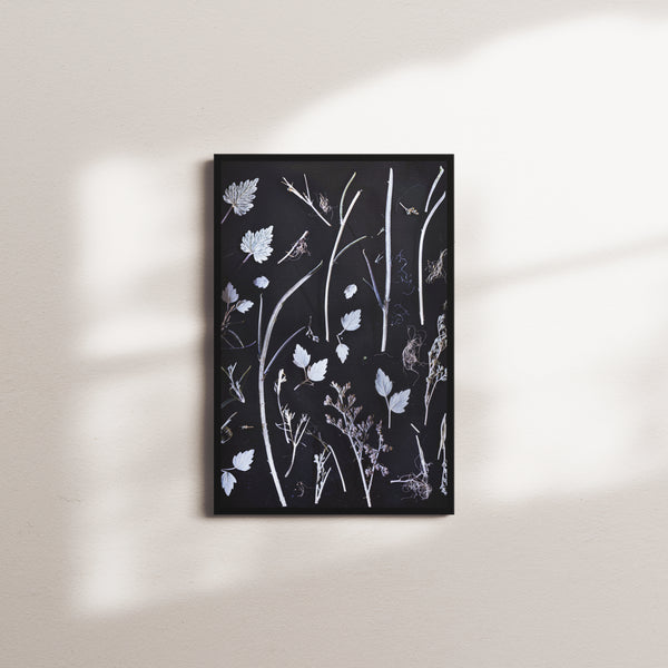 dry silhouettes — black frame