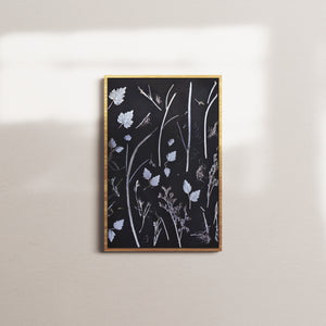 dry silhouettes — oak frame