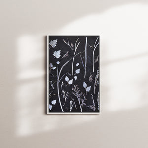 dry silhouettes — white frame