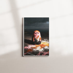 ember horizon 2 — white frame