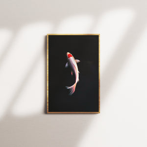 ember shift — oak frame