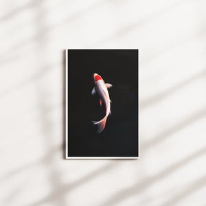 ember shift — white frame