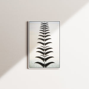 emerald whispers — white frame
