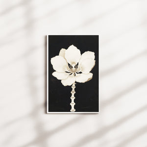 ethereal bloom — white frame