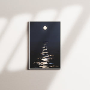 golden harbor — white frame
