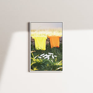golden stillness — white frame