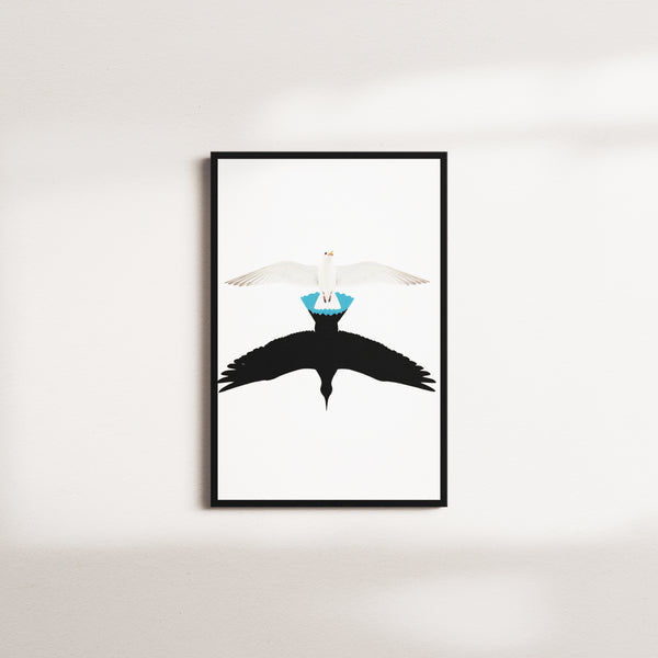 harbor swallow — black frame