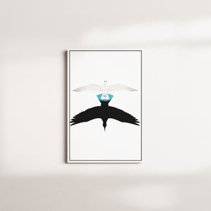 harbor swallow — white frame