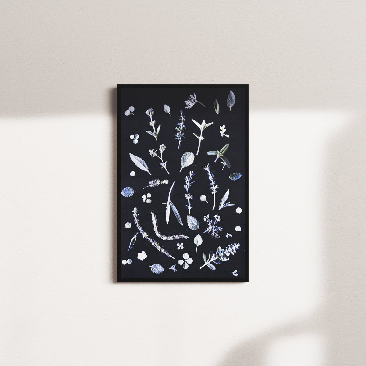 herbal whispers — black frame