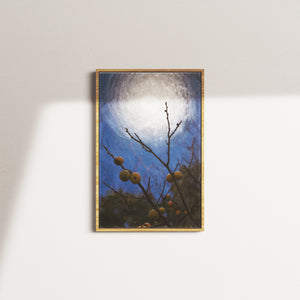 honey bough — oak frame