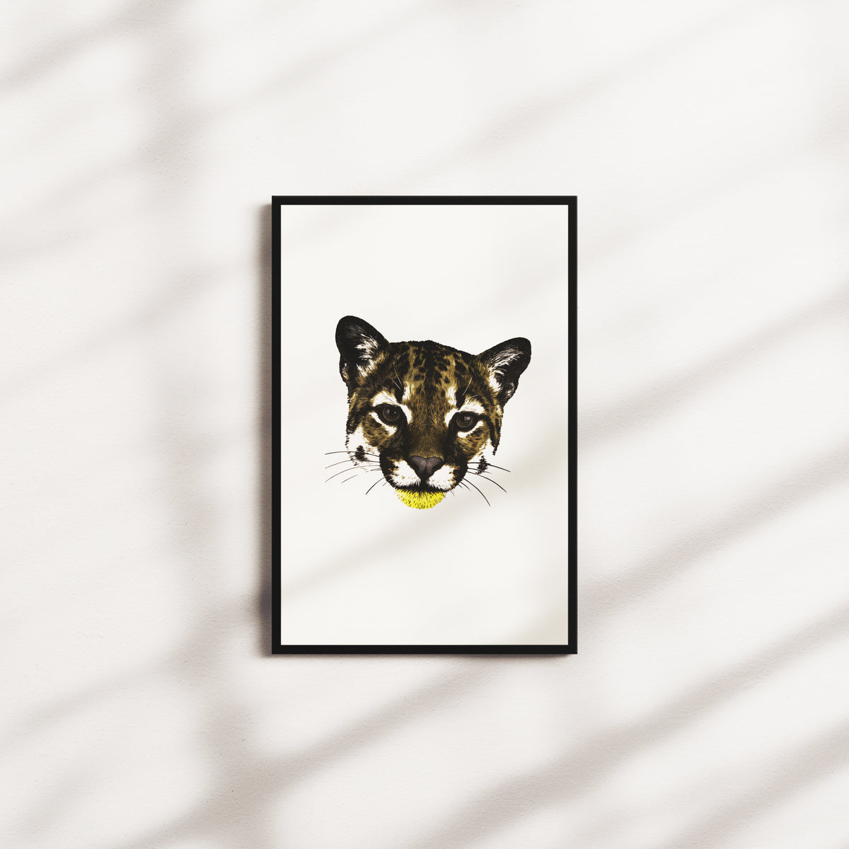 honey current — black frame