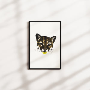 honey current — black frame