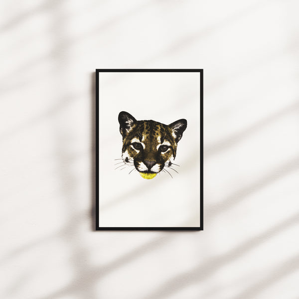 honey current — black frame