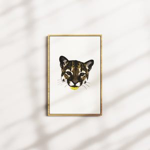 honey current — oak frame