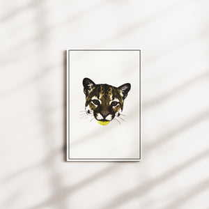 honey current — white frame