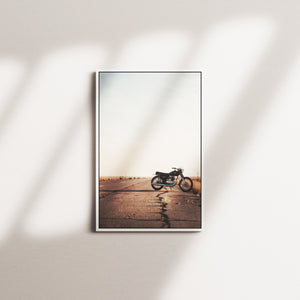 honey reverie — white frame