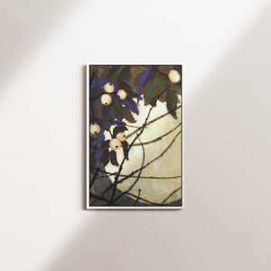 indigo shadow — white frame