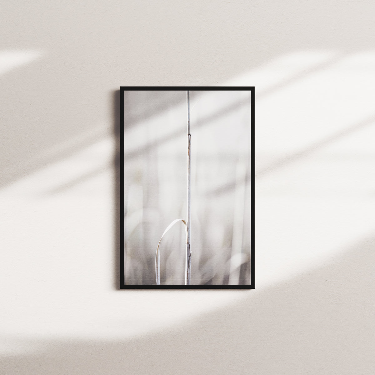industrial echo — black frame