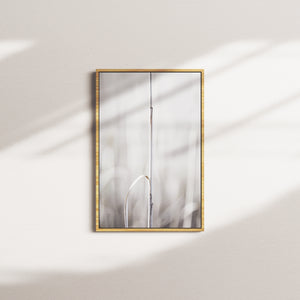 industrial echo — oak frame