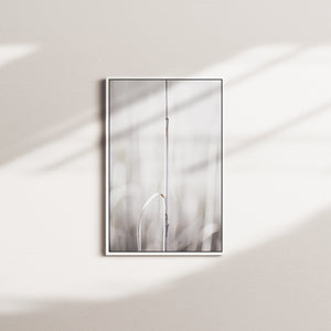 industrial echo — white frame