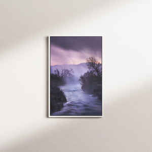 iris current — white frame